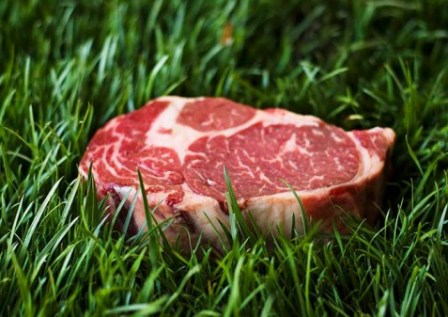 http://stellametsovas.com/blog/tag/grass-fed-beef/